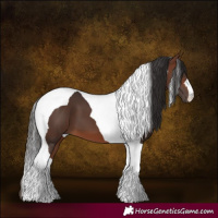 Horse Color:Brown Tobiano
