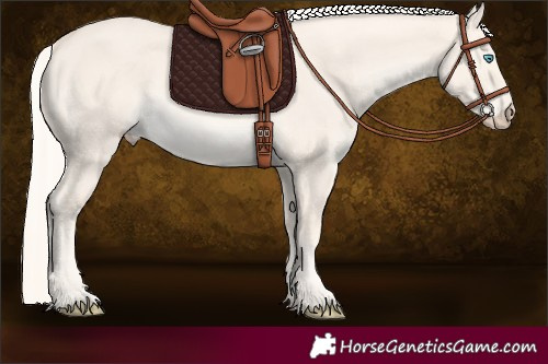 Horse Color:Cremello Dun 