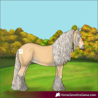 Horse Color:Palomino 