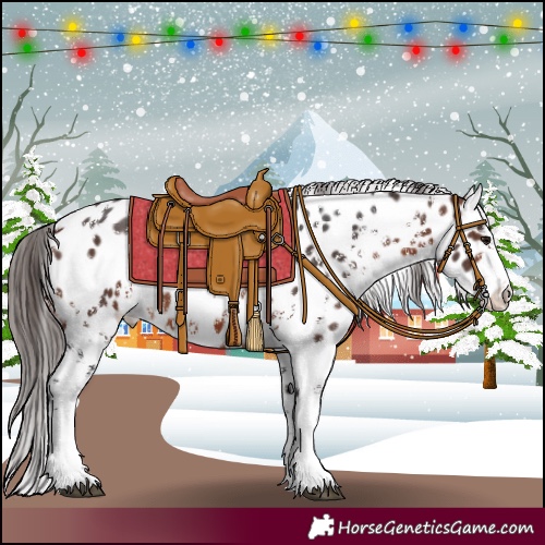 Horse Color:Bay Sabino Near Leopard