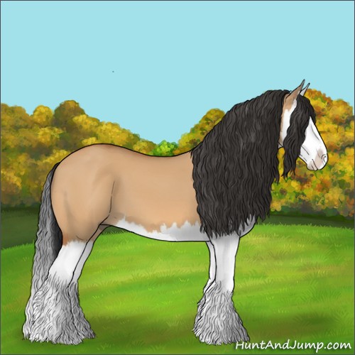 Horse Color:Bay Dun Splash 