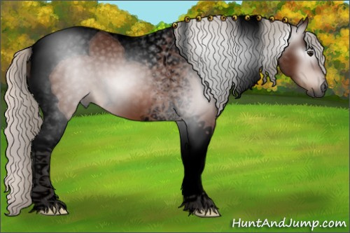 Horse Color:Gray Void Silver Bay Tobiano 
