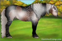 Horse Color:Gray Void Silver Bay Tobiano 