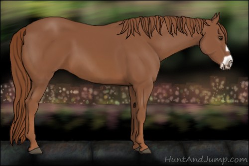 Horse Color:Chestnut Frame
