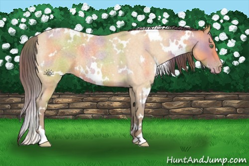 Horse Color:Nacre White Spotted Sable Cream Champagne Roan Rabicano 