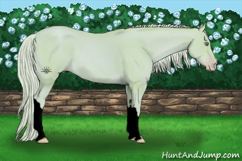 Horse Color:Void Watercolor Gold Cream Champagne 