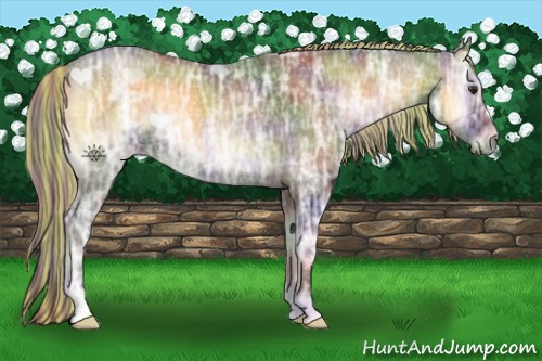 Horse Color:Painted Nacre Chocolate Palomino Ice Onyx Rabicano
