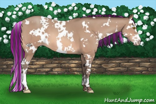 Horse Color:Painted White Spotted Amber Champagne Splash