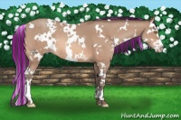Horse Color:Painted White Spotted Amber Champagne Splash 