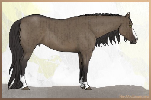 Horse Color:Smoky Grullo Roan Sabino Brindle 