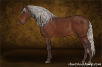 Horse Color:Silver Brown 