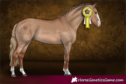 Horse Color:Red Dun Rabicano