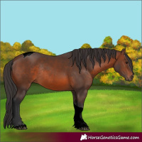 Horse Color:Brown Tobiano Rabicano 