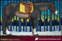Horse Color:Brown 