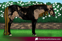 Horse Color:Void Painted Bay Ice Tobiano  and Void Buckskin Ice Splash Tobiano 