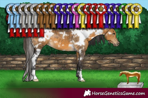 Horse Color:White Spotted Buckskin 