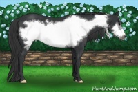 Horse Color:Black Mushroom Frame 