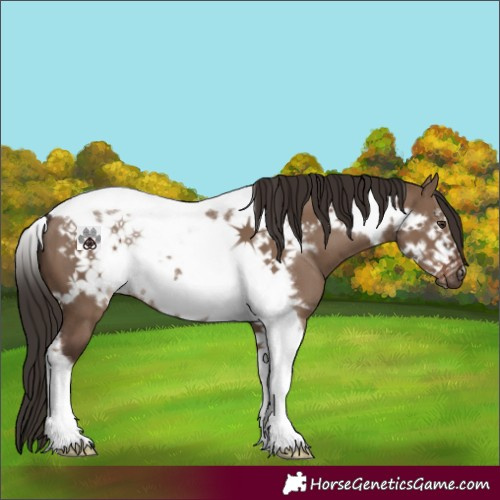Horse Color:Liver Red Dun Tobiano Frame 