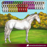 Horse Color:Chocolate Palomino Pearl Sabino Tobiano Frame  and Chocolate Palomino Pearl Sabino Frame Rabicano 