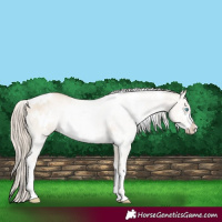 Horse Color:White Spotted Chocolate Palomino Pearl Dun Sabino