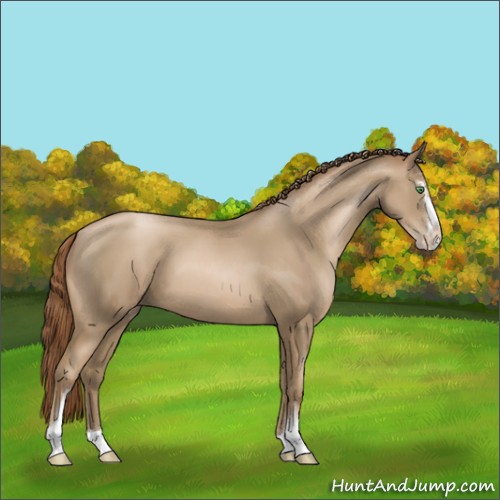 Horse Color:Smoky Black Pearl Sabino