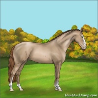 Horse Color:Smoky Black Pearl Sabino 