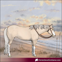Horse Color:Silver Amber Champagne Dun Sabino Tobiano 