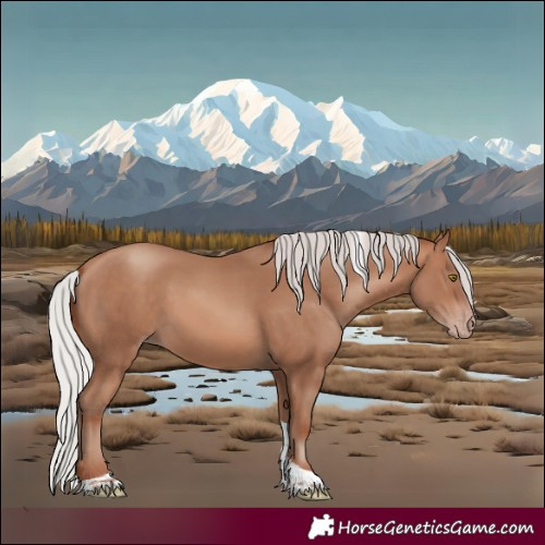Horse Color:White Spotted Silver Sable Champagne Tobiano Rabicano