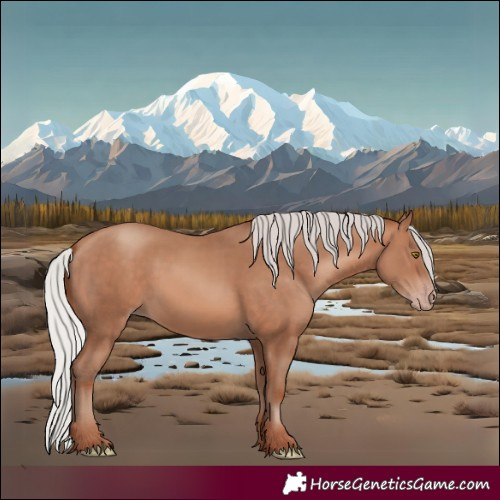 Horse Color:White Spotted Silver Sable Champagne Tobiano Rabicano 