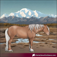 Horse Color:White Spotted Silver Sable Champagne Tobiano Rabicano 