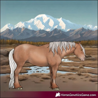 Horse Color:White Spotted Silver Sable Champagne Tobiano Rabicano 