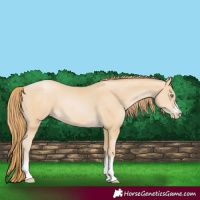 Horse Color:Smoky Black Pearl 