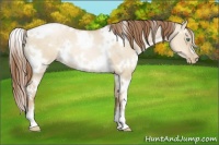 Horse Color:White Spotted Smoky Grullo Pearl 