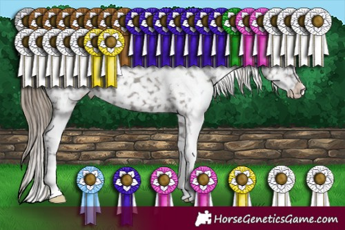 Horse Color:White Spotted Smoky Grullo Appaloosa 