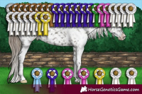 Horse Color:White Spotted Smoky Grullo Snowflake Varnish