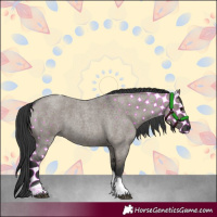 Horse Color:Grullo Roan Tobiano