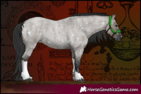 Horse Color:Grullo Roan Tobiano