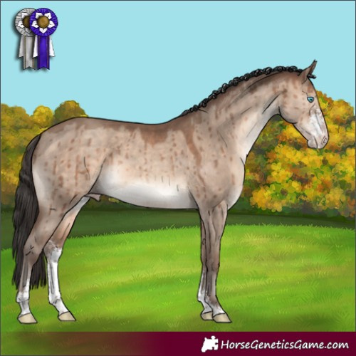 Horse Color:Sable Champagne Dun Sabino Brindle