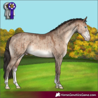 Horse Color:Sable Champagne Dun Sabino Brindle