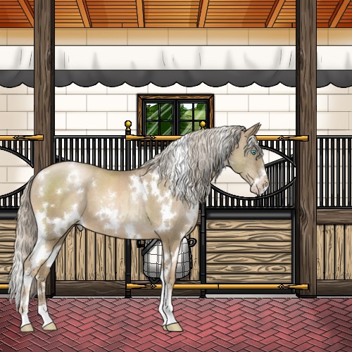 Horse Color:White Spotted Chocolate Palomino Pearl Sabino 
