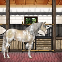 Horse Color:White Spotted Chocolate Palomino Pearl Sabino