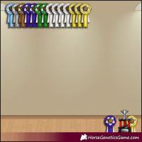 Horse Color:Gray Brown Dun Sabino Brindle 