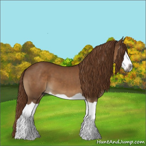 Horse Color:Gray Chestnut Splash