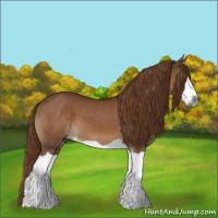 Horse Color:Gray Chestnut Splash 
