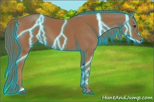 Horse Color:Thunderstruck Chestnut 
