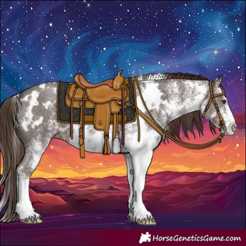 Horse Color:White Spotted Liver Chestnut 