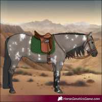 Horse Color:White Spotted Grullo