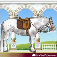 Horse Color:White Spotted Liver Chestnut Tobiano Appaloosa