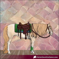 Horse Color:Buckskin Pearl Sabino 