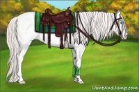 Horse Color:Perlino Dun Tobiano 